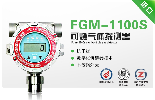 FGM-1100S可燃?xì)怏w探測器（RAEGuardS）