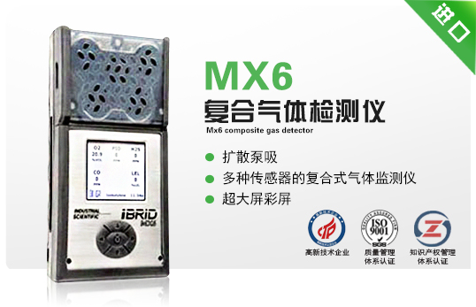 MX6復(fù)合氣體檢測儀